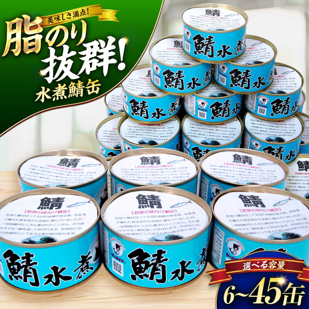 【ふるさと納税】若狭の鯖水煮缶詰 12缶セット キャンプ アウトドア おつまみ 酒の肴 保存食[A-075020] [BFBS003]｜福井県小浜市