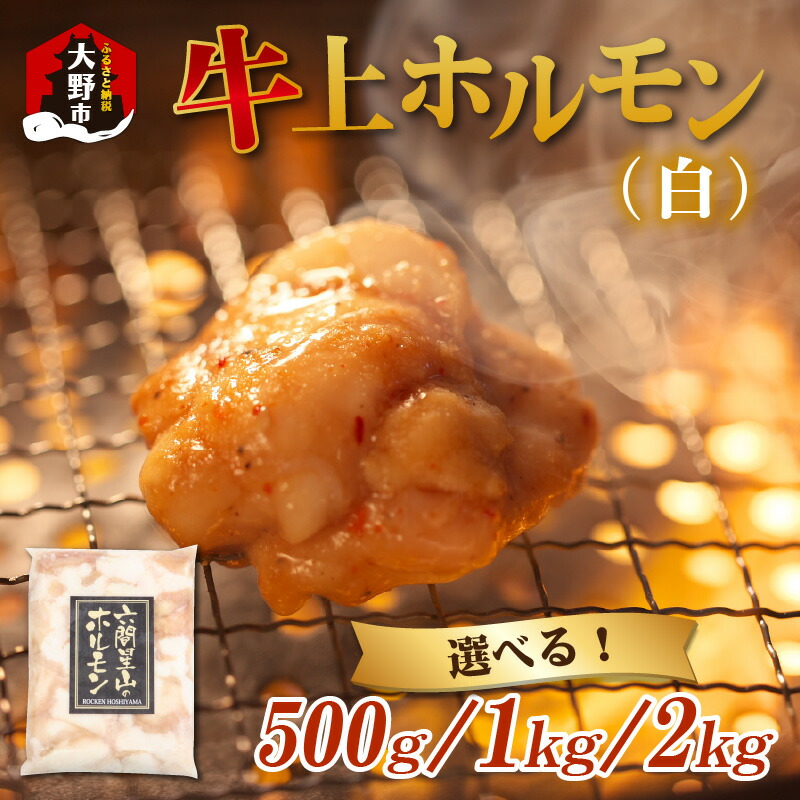 【ふるさと納税】ホルモン の 老舗 六間星山 の 牛上ホルモン（白）500g／1kg／2kg [A-026002] | 国産 豪州産 秘伝 タレ漬け 星山  焼肉 バーベキュー ホルモン鍋 とんちゃん 鉄板焼 BBQ もつ 味付け肉 ビールのお供 網焼き 牛肉 肉 ハイボール 焼肉店 ホルモン焼き 送料無料