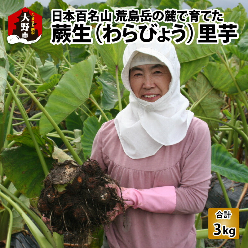 【ふるさと納税】【先行予約】日本百名山 荒島岳の麓で育てた 蕨生（わらびょう）里芋 3kg【11月より順次発送】【里芋・野菜・根菜】 [A-001010]