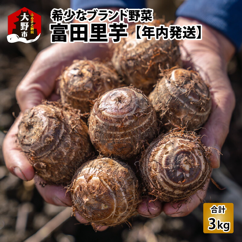【ふるさと納税】【先行予約】希少！とみた里芋 3kg ねっとりまろやか煮崩れなし！【年内出荷】[A-001012]| 里芋 野菜 根菜
