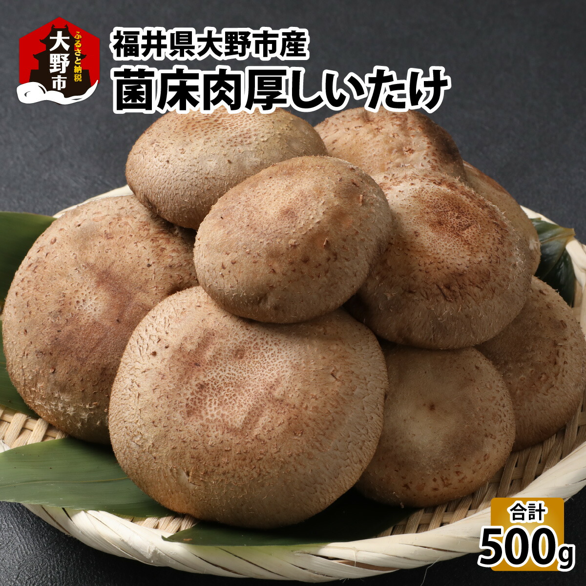 【ふるさと納税】菌床肉厚しいたけ（福井県大野市産）500g[A-003018]