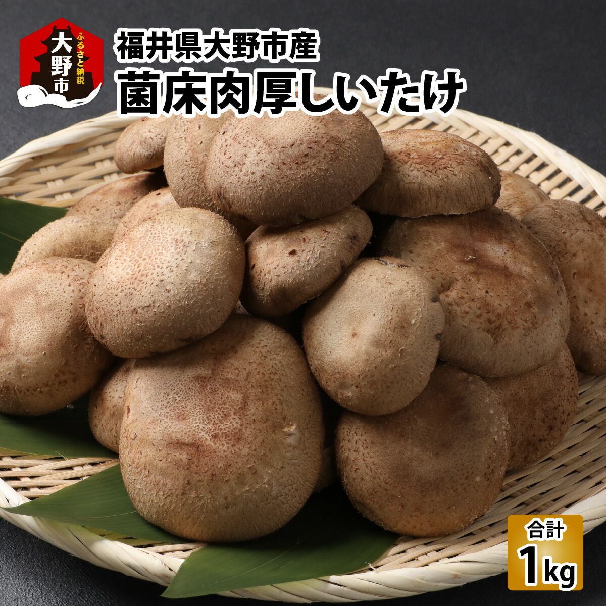 【ふるさと納税】菌床肉厚しいたけ（福井県大野市産）1kg[A-003019]｜福井県大野市