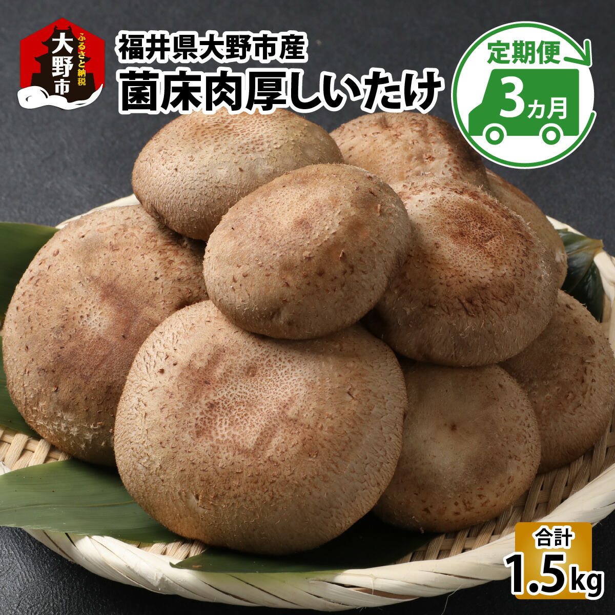 【ふるさと納税】【3ヶ月定期便】菌床肉厚しいたけ（福井県大野市産）500g&times;3回 計1.5kg[A-003020］｜福井県大野市