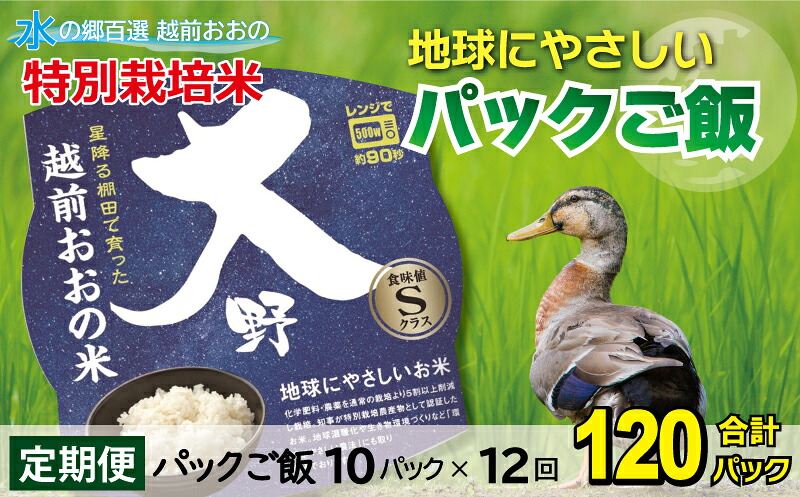 【ふるさと納税】【12ヶ月定期便】地球にやさしいパックご飯 10食入り【白米】&times; 12回　計120食　減農薬・減化学肥料 「特別栽培米」&minus;地球にやさしいお米&minus;[I-003005] コシヒカリ こしひかり 防災 備蓄 パックご飯 150g パックごはん パックライス 頒布会｜福井県大野市