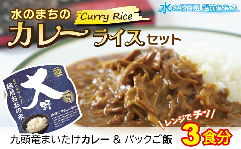 【ふるさと納税】レンジでチン！水のまちのカレーライスセット【３食分】[A-003015] コシヒカリ こしひかり 防災 備蓄 パックご飯 150g パックごはん パックライス
