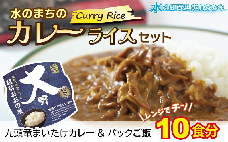 【ふるさと納税】レンジでチン！水のまちのカレーライスセット【１０食分】[B-003012] コシヒカリ こしひかり 防災 備蓄 パックご飯 150g パックごはん パックライス｜福井県大野市