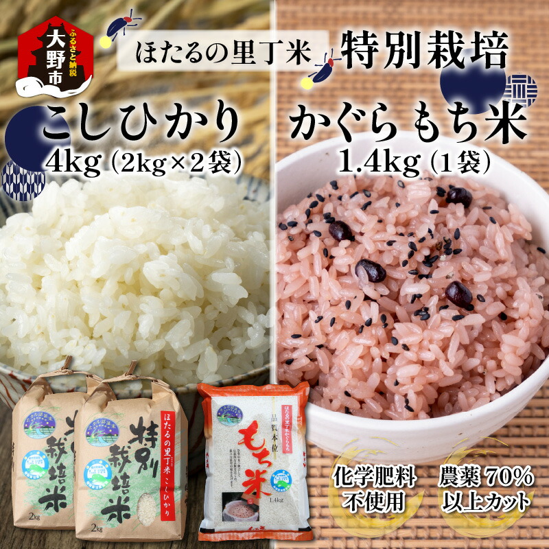 【ふるさと納税】【先行予約】【令和7年産  新米】ベストファーマー ほたるの里 特別栽培こしひかり 4kg（2kg × 2袋） ＋ かぐらもち米 1.4kg 化学肥料不使用 農薬70％以上カット　【お米・米・こしひかり・セット・詰め合わせ】 [A-002002]