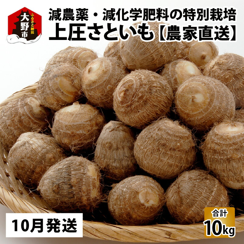 【ふるさと納税】【先行予約】【10月発送分】上庄さといも 10kg 減農薬・減化学肥料の特別栽培里芋 農家直送 野菜 上庄里芋 土芋 里芋 10kg [B-004001_01]｜福井県大野市