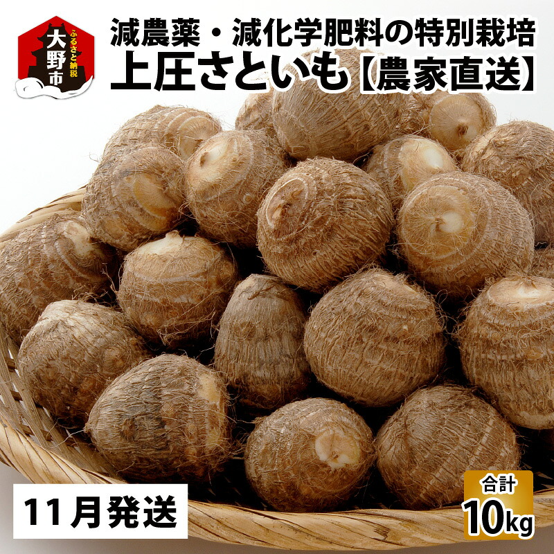 【ふるさと納税】【先行予約】【11月発送分】上庄さといも 10kg 減農薬・減化学肥料の特別栽培里芋 農家直送 野菜 上庄里芋 土芋 里芋 10kg [B-004001_02]｜福井県大野市