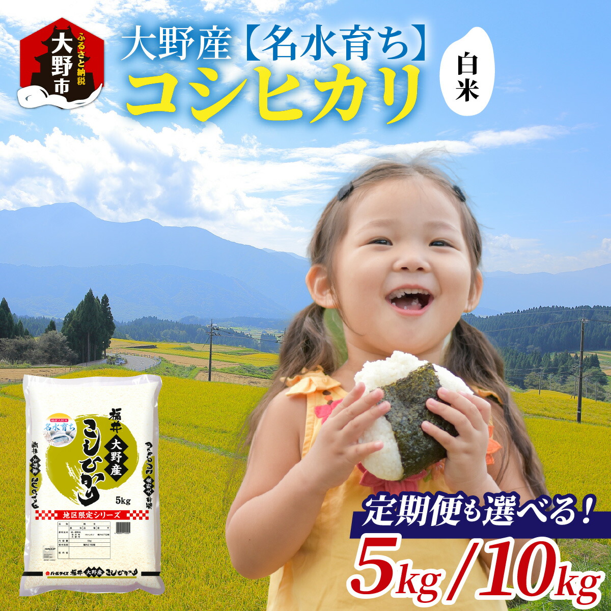 【ふるさと納税】【令和6年産】大野産コシヒカリ（白米）【大野ブランド米 名水育ち】|5kg 10kg お米 こしひかり コシヒカリ 白米 精米 おこめ ご飯 ごはん  つや 艶 甘味 旨み 大野市産 福井県産 ブランド米 送料無料[A-097002]