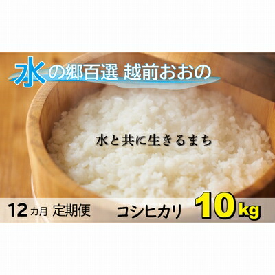 海外最新 楽天市場 ふるさと納税 12ヶ月定期便 名水のまち越前おおの産 おいしいコシヒカリ 5kg2袋入 12回 計1kg 定期便 お 米 コシヒカリ 12ヶ月連続 米 計1kg 12回 福井県大野市 人気ショップが最安値挑戦 Www Lexusoman Com