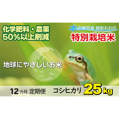 限定製作 楽天市場 ふるさと納税 12ヶ月定期便 名水のまち越前おおの産 特別栽培コシヒカリ kg 定期便 お米 コシヒカリ 福井県大野市 代引不可 Lexusoman Com