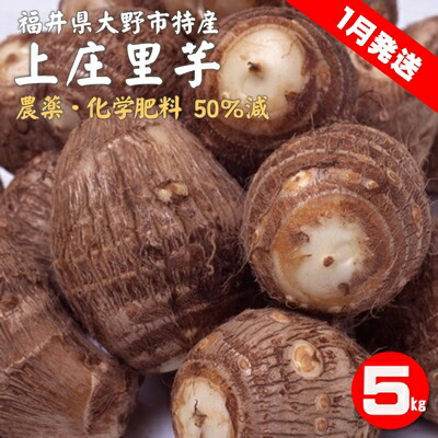 楽天市場 ふるさと納税 1月発送 上庄さといも 5kg 減農薬 減化学肥料の特別栽培里芋 農家直送 オンライン決済限定 野菜 野菜セット 上庄里芋 さといも 5kg お届け 21年11月 22年1月末日 福井県大野市