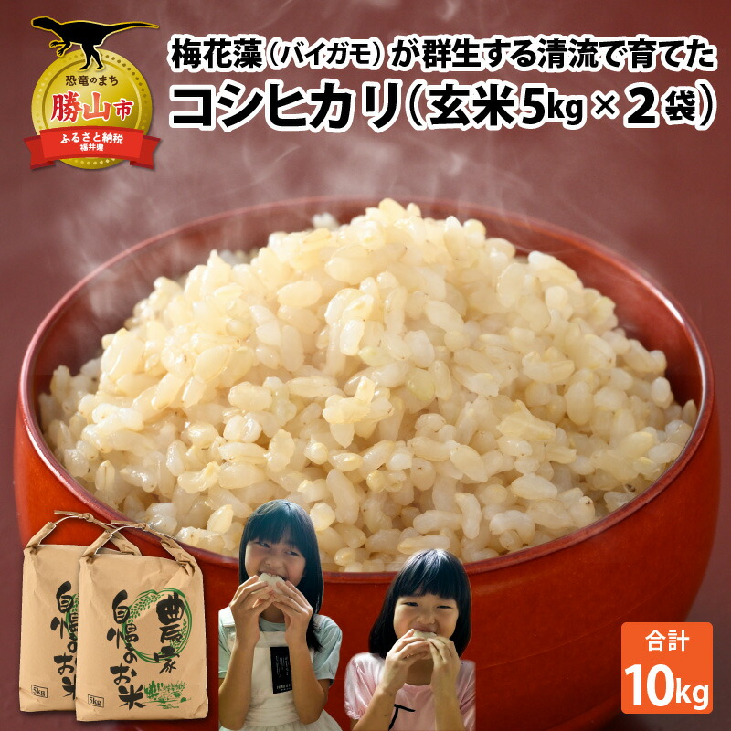 6600円 偉大な 令和4年産 新米 玄米 コシヒカリ 5kg ×2袋 計10kg 国産 福井県産 米 お米 おこめ ブランド米 ごはん ご飯  お取り寄せ 2022年産 直送 2袋 袋包装 人気 品種 おいしい 10000円 家庭用 送料無料