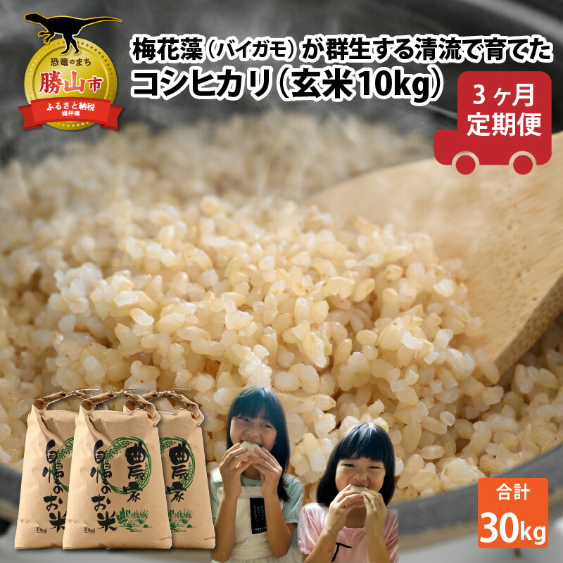 【ふるさと納税】【先行予約】令和7年産 梅花藻が群生する清流で育てたコシヒカリ（玄米 10kg）3か月定期便 ※2025年9月下旬以降順次発送予定 | 新米 国産 福井県産 お米 おこめ ブランド米 ごはん ご飯 農家 直送 30キロ 10kg×3回 10キロ×3回 袋包装 人気 品種 送料無料