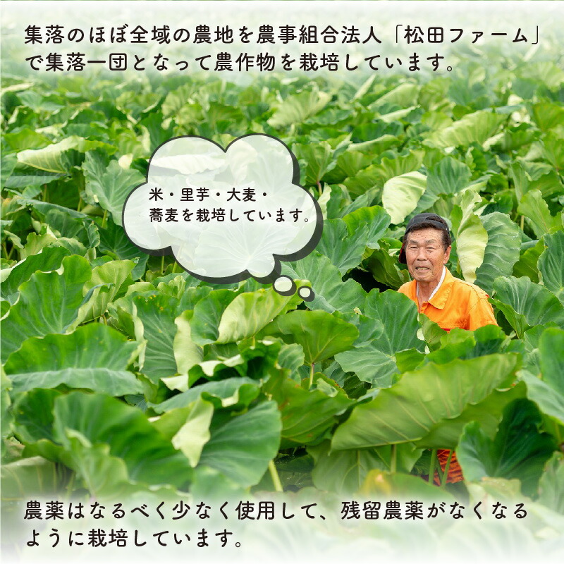 日本未発売 令和4年 新米予約 梅花藻が群生する清流で育てたコシヒカリ 玄米 5kg 2袋 3か月定期便 計30kg Fucoa Cl 日本未発売 令和4年 新米予約 梅花藻が群生する清流で育てたコシヒカリ 玄米 5kg 2袋 3か月定期便 計30kg Fucoa Cl