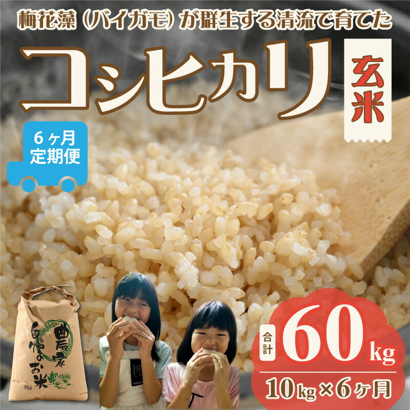 配送員設置 ふるさと納税 先行予約 令和4年 新米予約 梅花藻が群生する清流で育てたコシヒカリ 玄米 10kg 6か月定期便 Whitesforracialequity Org 配送員設置 ふるさと納税 先行予約 令和4年 新米予約 梅花藻が群生する清流で育てたコシヒカリ 玄米 10kg 6か月定期便 Whitesforracialequity Org