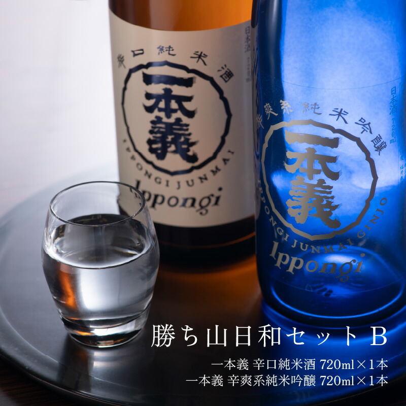 激安特価 勝ち山日和セットB 一本義 辛口純米酒 720ml×1本 辛爽系純米吟醸 qdtek.vn