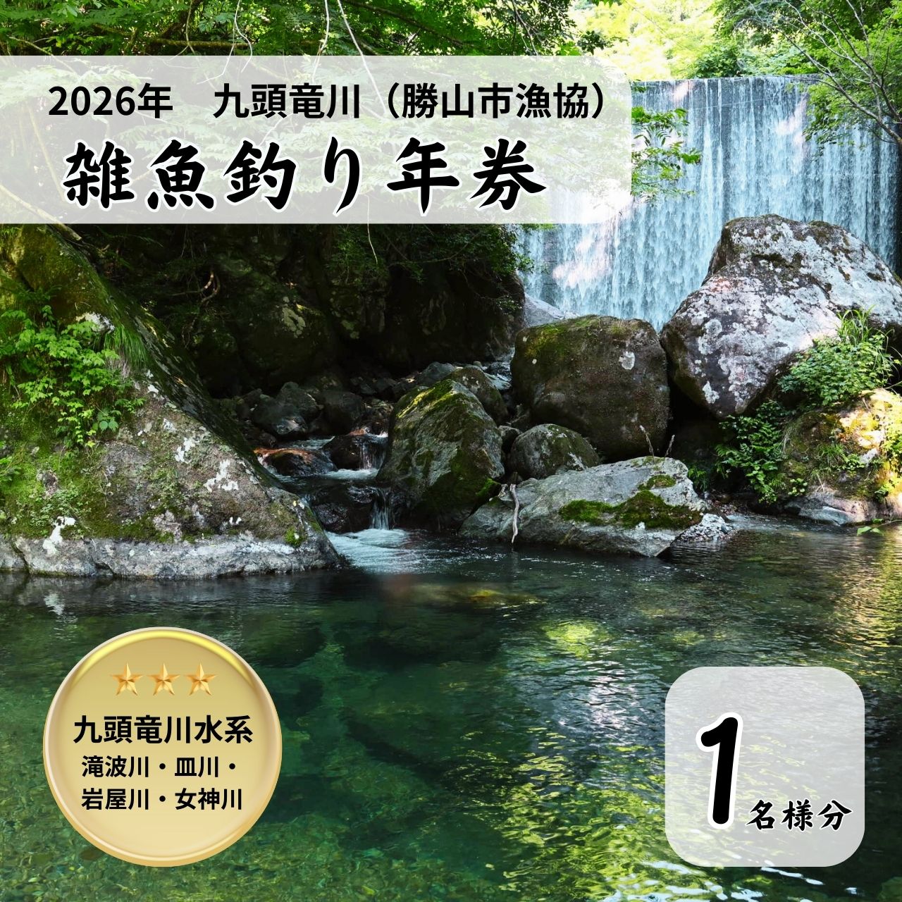 【ふるさと納税】【2026年分】九頭竜川（勝山市漁協） 湧き出る年券 1名様分| 魚 魚介 魚釣り くぐり抜ける 指定券