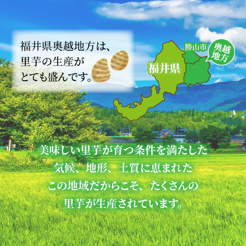 超人気 奥越産 皮むき里芋 1 2kg 2p マル秘レシピ付き Brunofert Com