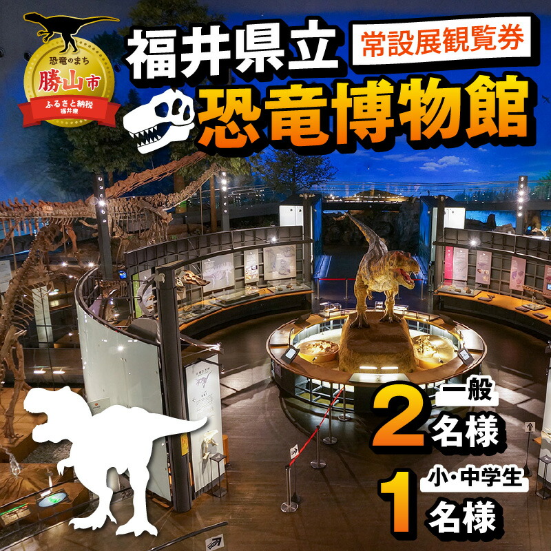 楽天市場】【ふるさと納税】福井県立恐竜博物館 常設展観覧券 (一般 2