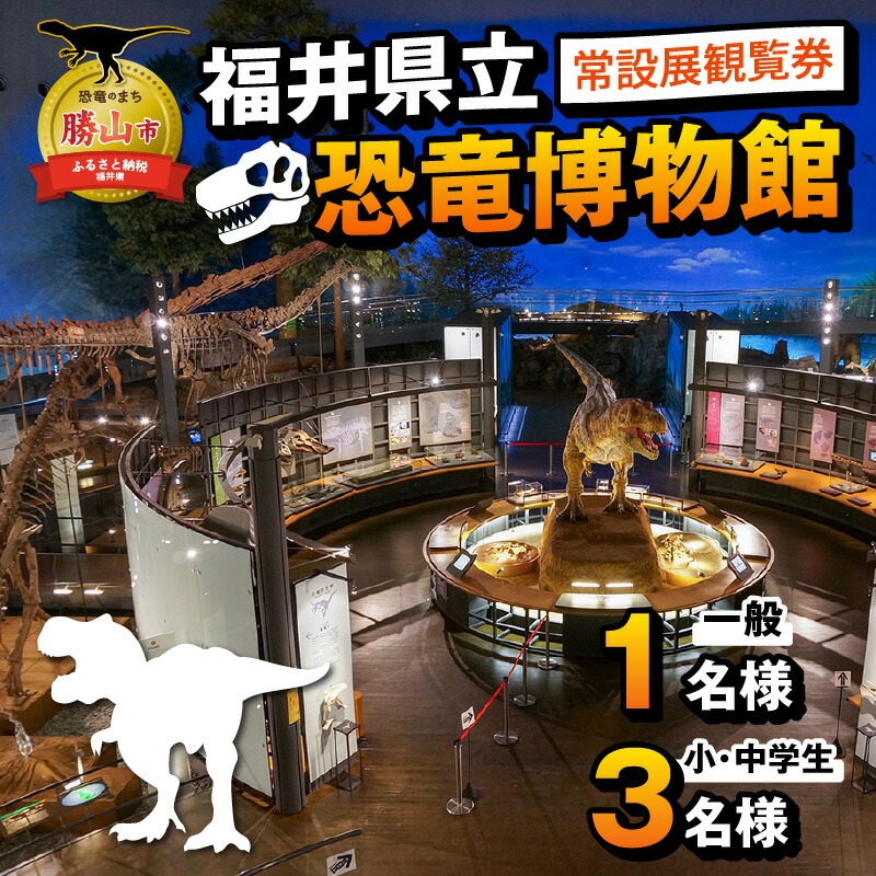 楽天市場】【ふるさと納税】福井県立恐竜博物館 常設展観覧券