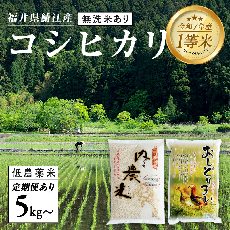 【ふるさと納税】【令和7年産 】福井県産 おしどり米 内農米コシヒカリ 5kg［M-00503］/内農米 10kg /定期便 3ヶ月/6ヶ月 5kg10kg / 無洗米 5kg/ こしひかり 白米 精米 ご飯 コメ ごはん ライス 産地直送 鯖江市