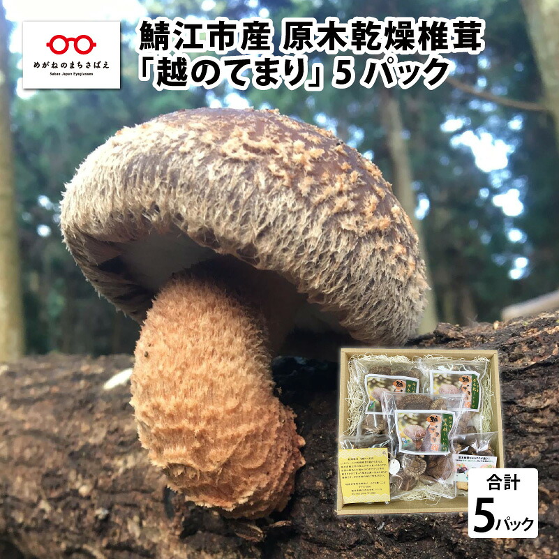 【ふるさと納税】鯖江市産 原木乾燥椎茸「越のてまり」 （大・中サイズ）3パック &（小サイズ）2パック　計5パック / 国産 きのこ 調理 グルメ [B-05001]｜福井県鯖江市