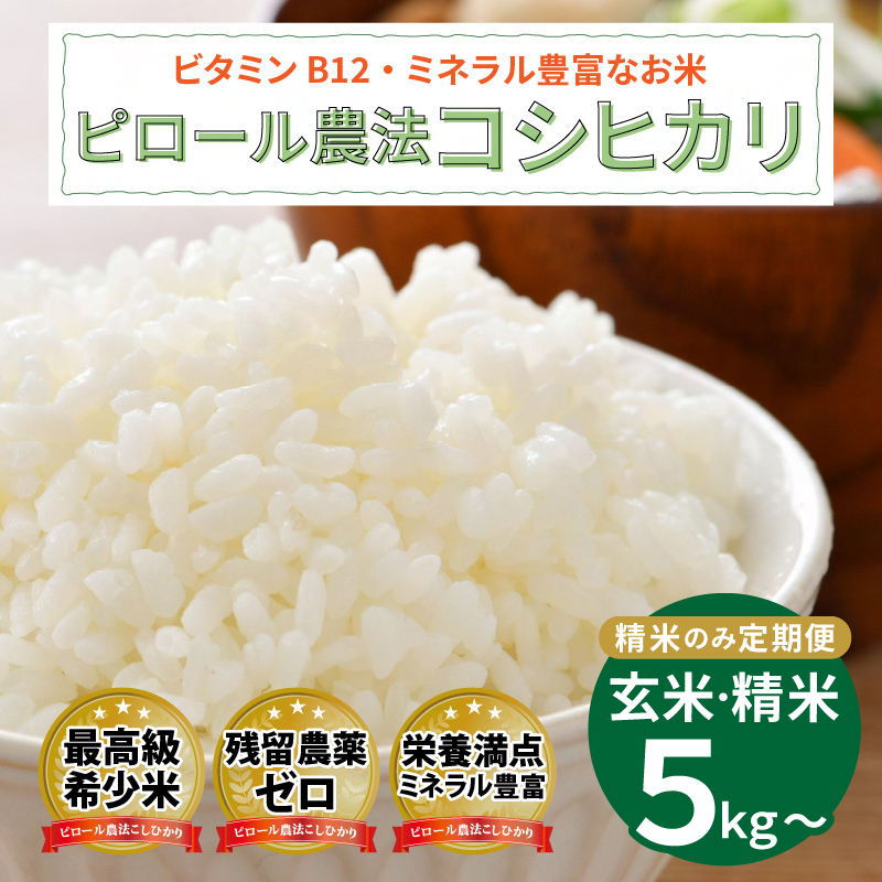 【ふるさと納税】【選べる種類】令和6年産 ピロール農法 コシヒカリ精米5kg （定期便あり） / 玄米 5kg 真空パック [B-08218] / 白米 玄米 定期便 福井 特別栽培米 ピロール米 お米 コシヒカリ こしひかり