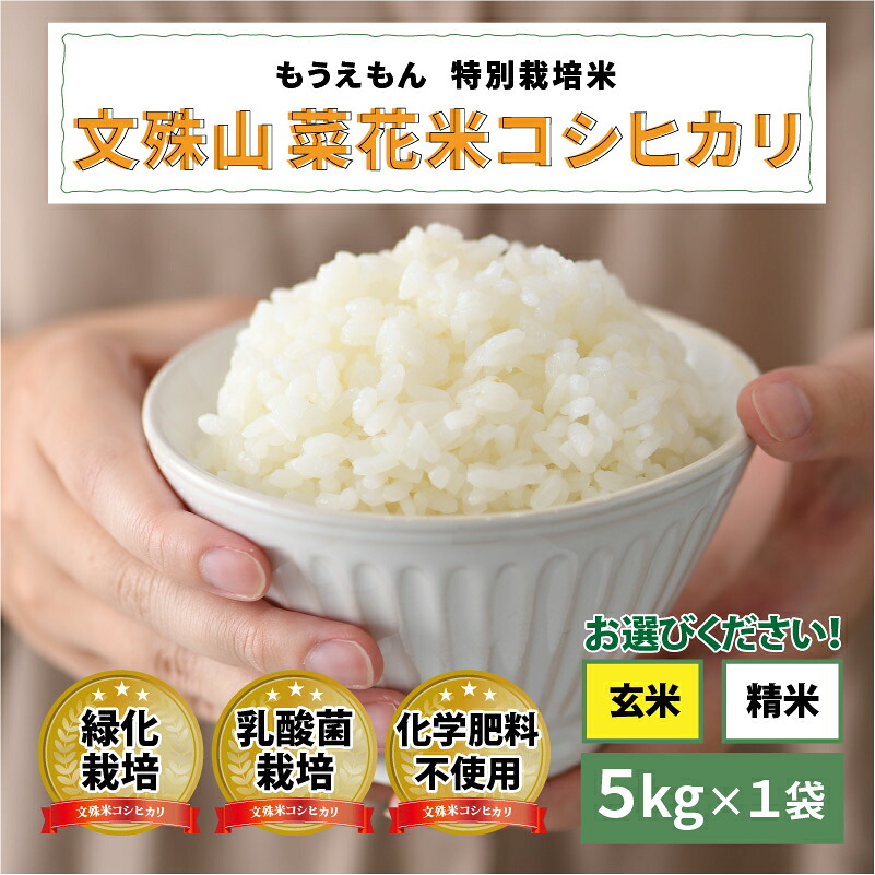 【ふるさと納税】【令和7年産】文殊山 菜花米コシヒカリ　5kg（5kg &times; 1袋）真空パック [C-08207] / 真空パック 白米 玄米 特別栽培米 乳酸菌栽培 コシヒカリ米 お米｜福井県鯖江市 23,000円