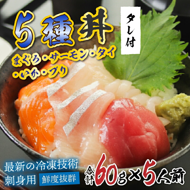 【ふるさと納税】【刺身用】海鮮丼の具5種盛り（マグロ・サーモン・タイ・イカ・ブリ）60g（タレ付） &times; 5人前　/ 国産 グルメ 鮪 マグロ 鮭 タイ 鯛 イカ 海の幸 海鮮【最新の冷凍技術】 [B-11016]｜福井県鯖江市