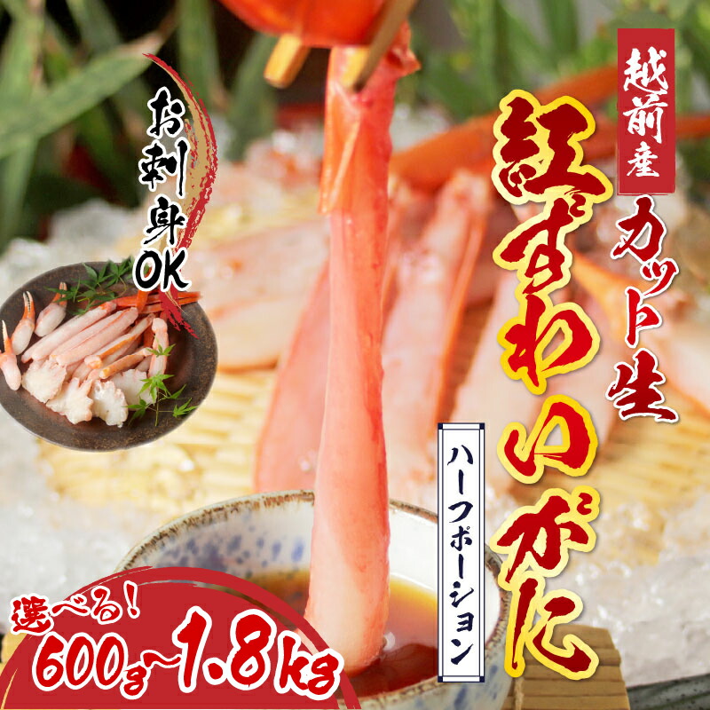 【ふるさと納税】【選べる容量】【最新の冷凍技術】越前産