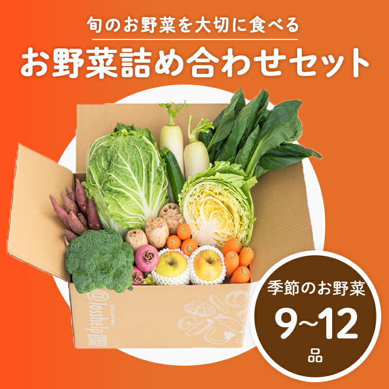 【ふるさと納税】【2025年12月配送】多数のメディアで紹介されました！【訳あり】旬のもったいないお野菜詰め合わせセット[B-16401] / 訳あり 訳アリ ロスヘル 野菜 規格外野菜 冬野菜 やさい サラダ フードロス 果物 くだもの フルーツ 福井県鯖江市