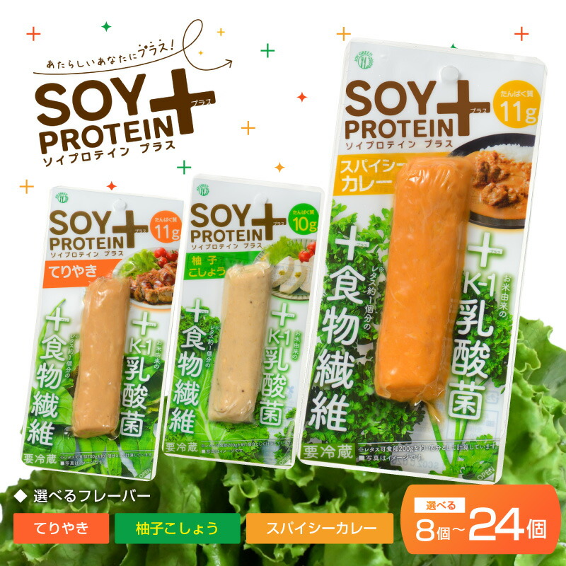 【ふるさと納税】【選べる静電容量】【選べるフレーバー】SOY PROTEIN＋ ソイプロテインプラス 赤ちょうちん手合い 8個/16個/24個/スパイシーカレー/てりやき/柚子こしょう [C-16902] / 思わしい目標にする トレーニー 菜食主義者 ヴィーガン 詰め直す食料雑貨類 食事制限 たんぱく質 福井県鯖江市