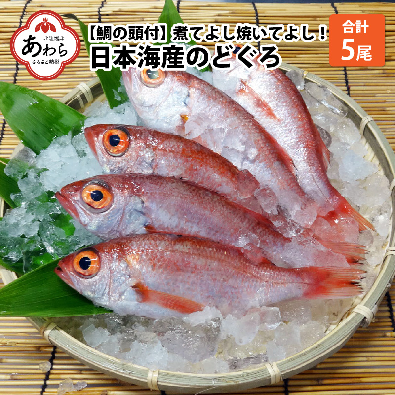 特急 【ふるさと納税】日本海の高級魚 のどぐろ干物 5尾／ ビール