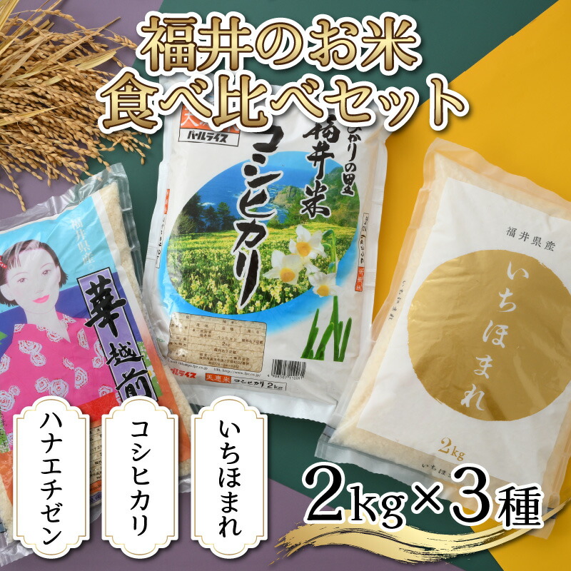 令和3年産 いちほまれ 2袋 5kg 10kg B-02003 × お米 白米 福井県 米 最大81%OFFクーポン 10kg