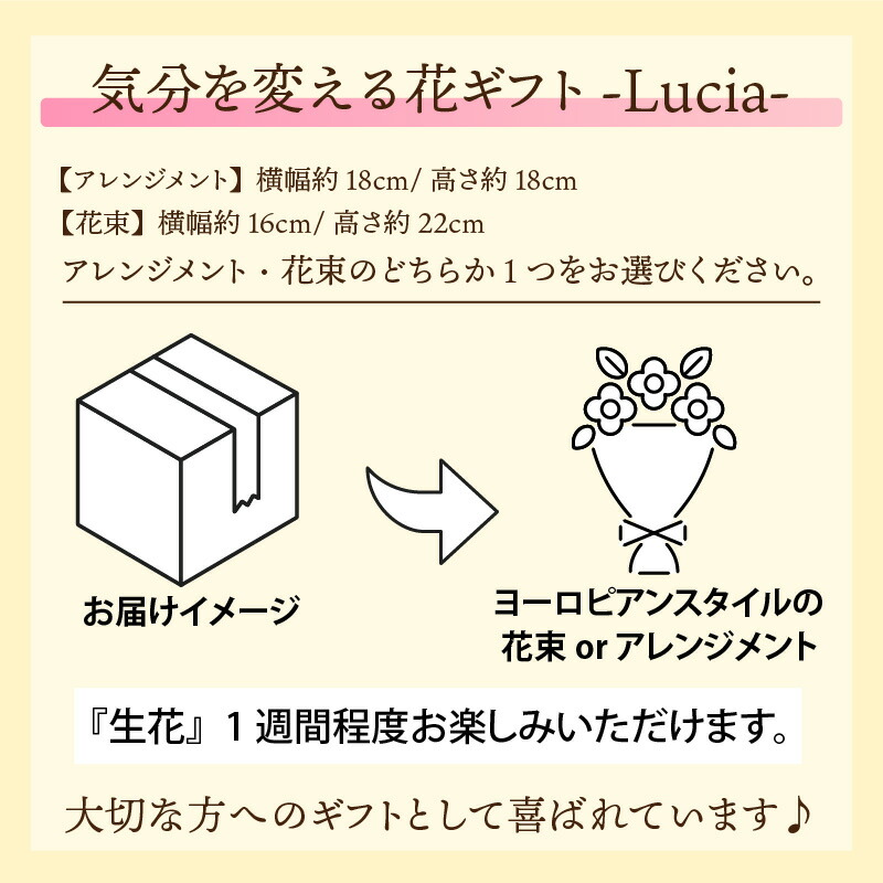 9240円 送料込 気分を変える花ギフト Lucia 生花 花屋 贈り物 誕生日 母の日 父の日 クリスマス 結婚祝い 結婚記念日 サプライズ お祝い おしゃれ きれい 素敵