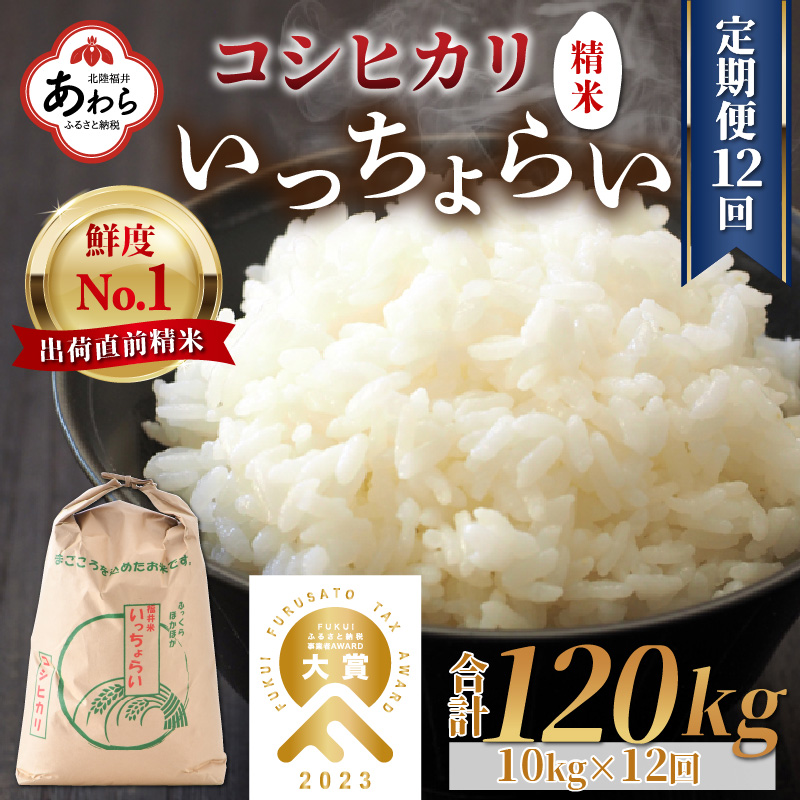 楽天市場】【ふるさと納税】【先行予約】【令和5年産新米】《定期便6回