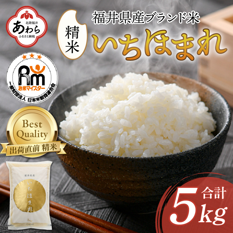 注目のブランド れんげ米 愛知県産コシヒカリ 10㎏ 白米9㎏