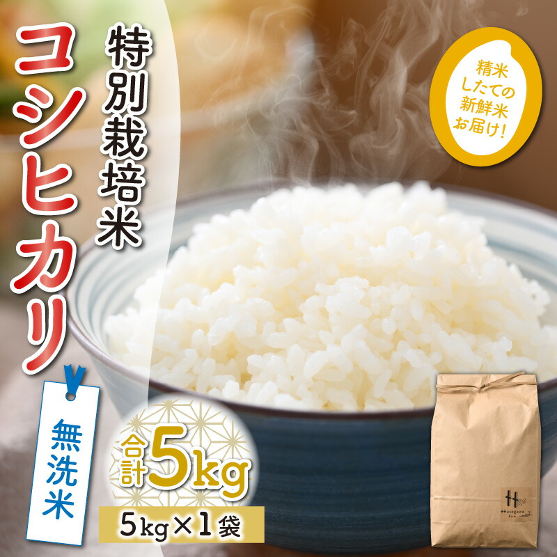 海外限定】 おかず 無洗米 農家直送 令和4年産 ブランド米 特別栽培米 産地直送 ごはん 弁当 新米 福井県産 低農薬 5kg おにぎり コシヒカリ  食味値85点以上 米・雑穀