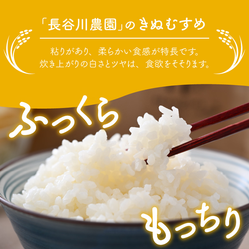 してつやの】 きぬむすめ 10kg 無洗米 福井県産（5kg×2袋）令和4年産＜食味値85点以上！低農薬で体に優しい栽培方法で作る美味しいお米＞：福井県あわら市  福井県あわら市のふるさと納税サイト しいお - shineray.com.br