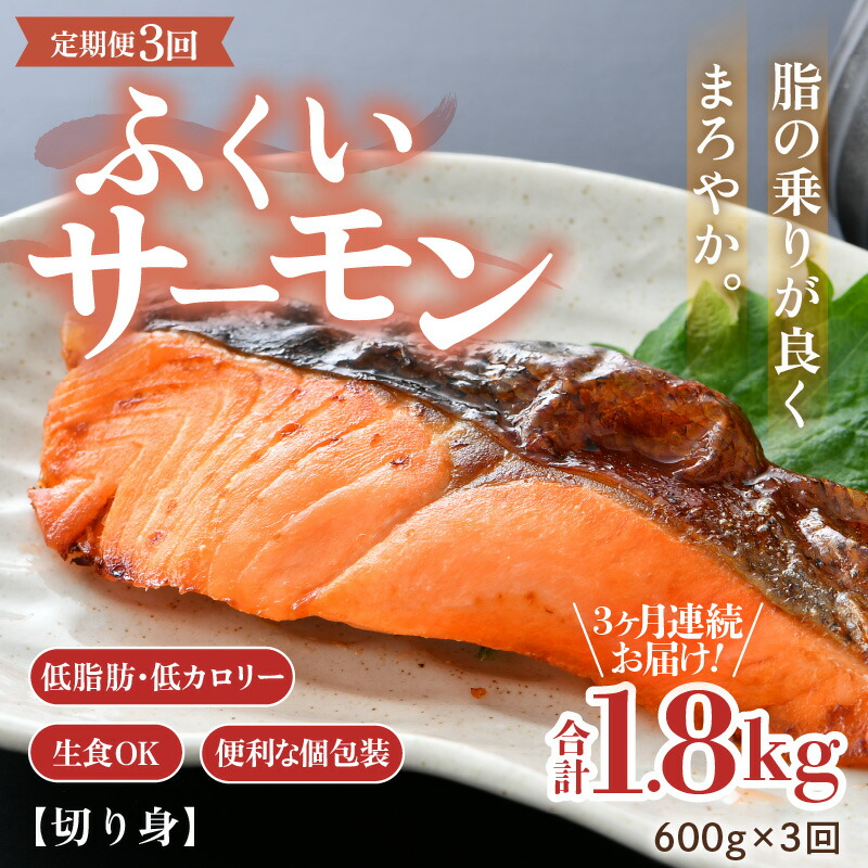 【ふるさと納税】《定期便3回》ふくいサーモン 切り身 100g×6切 計600g ＜鮮度抜群！真空冷凍＞ ／ 生食OK 刺身 焼き魚 鮭 国産