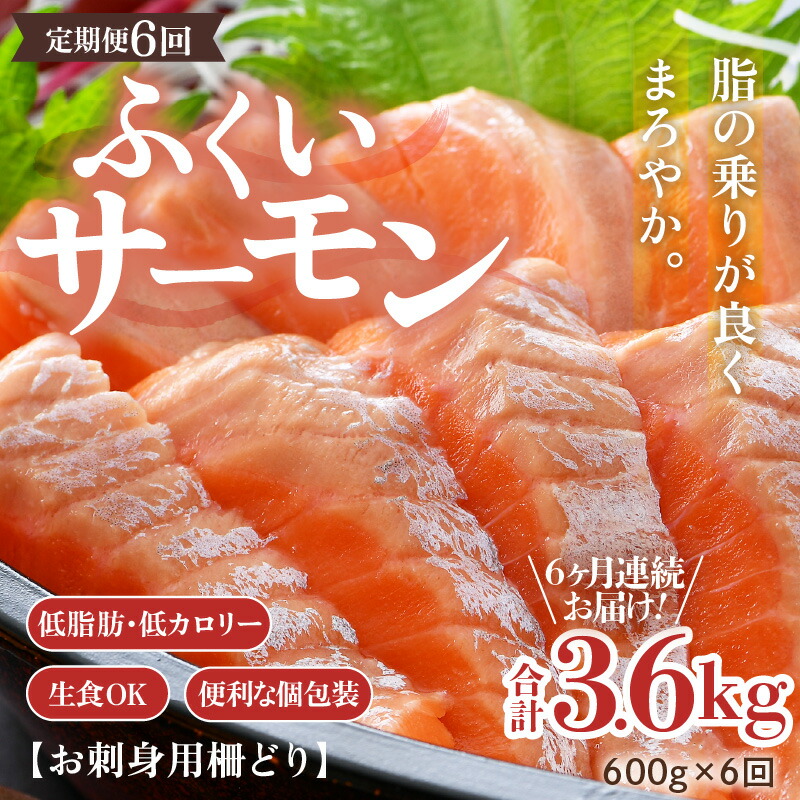 【ふるさと納税】《定期便6回》ふくいサーモン 柵どり 150g×4パック 計600g ＜鮮度抜群！真空冷凍＞ ／ 生食OK 刺身 鮭 国産