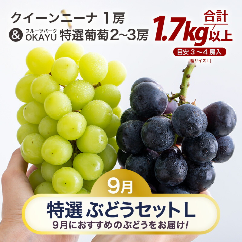 【ふるさと納税】【先行予約】9月特選 ぶどうセットL　1.7kg以上（3～4房）／ 葡萄 クイーンニーナ 品種 おまかせ あわら 農家おすすめ ※2026年9月より順次発送