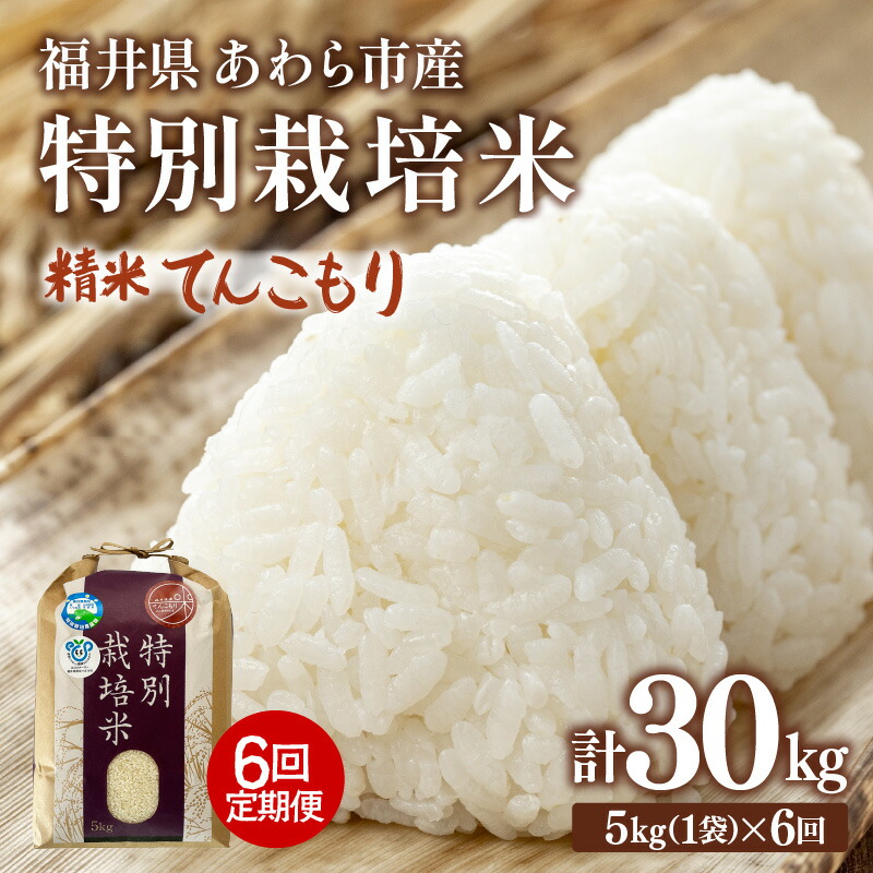 【ふるさと納税】【先行予約】【令和8年産】定期便 ≪6ヶ月連続お届け≫ 化学肥料不使用 てんこもり 精米 5kg &times; 6回（合計30kg）※2026年10月上旬より順次発送予定｜福井県あわら市