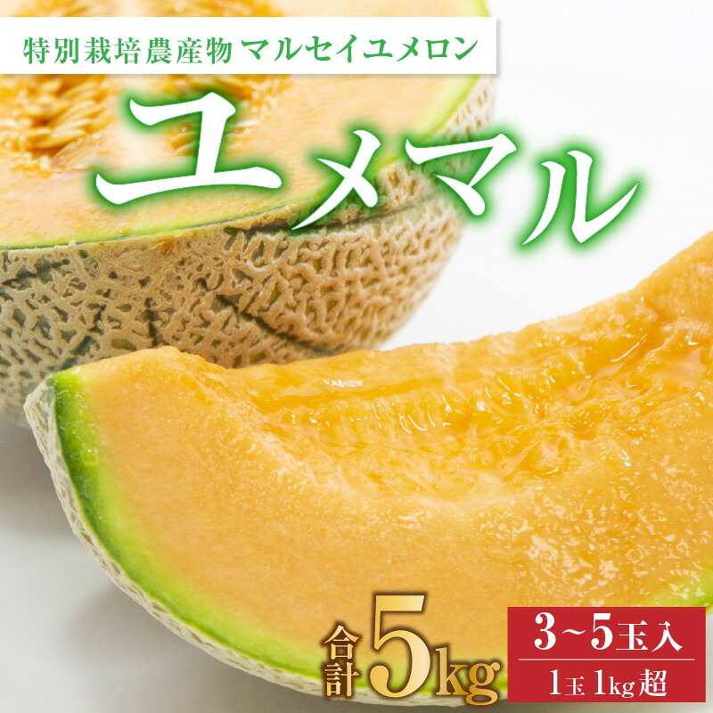 【ふるさと納税】【先行予約】マルセイユメロン 3～5玉入「ユメマル」5kg 《とろけるような食感の絶品 赤肉メロン》／ 果物 フルーツ 産地直送 大賞 受賞 ※2026年6月中旬より順次発送