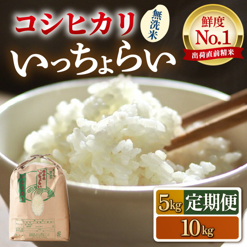 【ふるさと納税】【先行予約】【令和8年産・新米】【一等米】いっちょらい コシヒカリ 無洗米 5kg 10kg【選べる容量 定期便】 ／ 5キロ 10キロ 定期便 12ヶ月 お米 福井県産 ブランド米 コシヒカリ ご飯 白米 新鮮 大賞 受賞 ※2026年9月下旬以降順次発送予定 17,040円