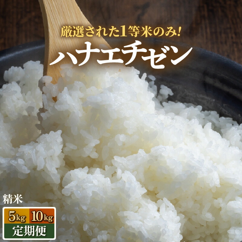 【ふるさと納税】【先行予約】【令和8年産・新米】 ハナエチゼン 精米 5kg 10kg 定期便【選べる容量 定期便】【一等米】《発送直前精米！》 / ハナエチゼン ブランド米 はなえちぜん 白米 米 コメ 新鮮 新米 福井県産ハナエチゼン あわら産 ※2026年9月上旬以降順次発送予定