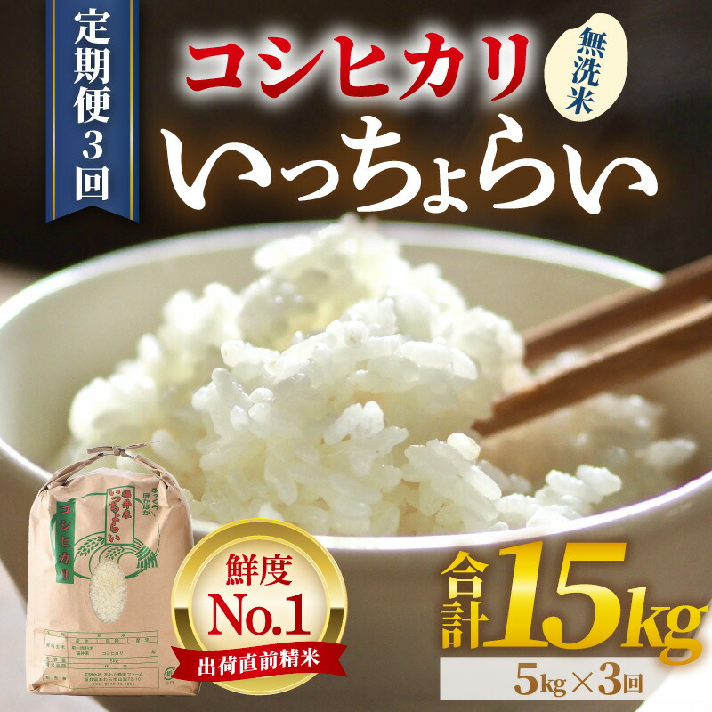【ふるさと納税】【先行予約】【令和7年産・新米】【一等米】《定期便3回》いっちょらい 無洗米 5kg × 3回（計15kg）／ 福井県産 ブランド米 コシヒカリ ご飯 白米 新鮮 大賞 受賞【2025年10月上旬より順次発送予定】