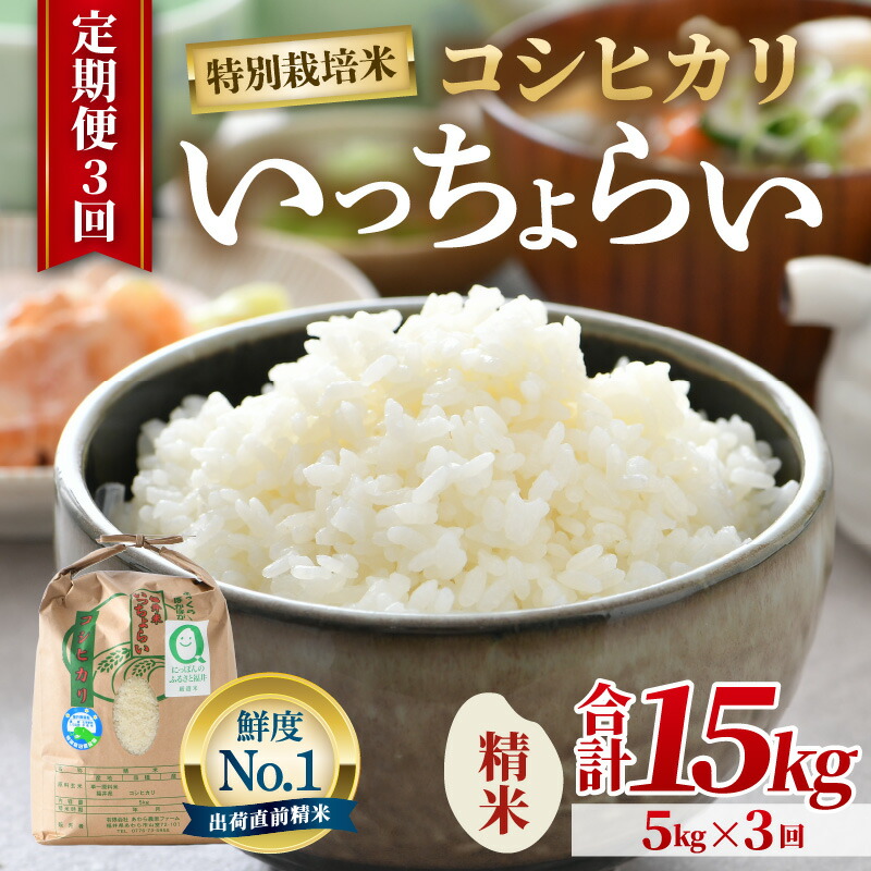 【ふるさと納税】【先行予約】【令和8年産】【一等米】《定期便3回》特別栽培米 いっちょらい 精米 5kg × 3回(計15kg)/ 米 お米 定期便 5キロ 福井県産 ブランド米 コシヒカリ ご飯 白米 新鮮 大賞 受賞 ※2026年10月上旬以降順次発送予定